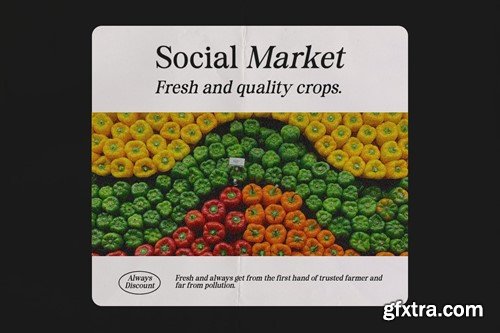 Surfside Paradise ZTNR4P2 Surfside Paradise ZTNR4P2