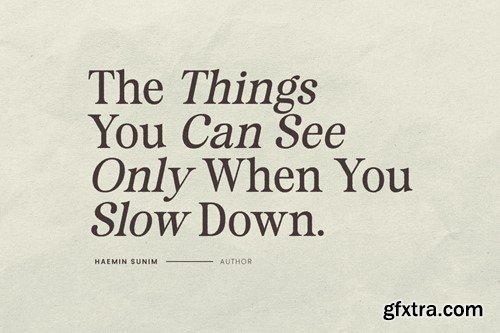Surfside Paradise ZTNR4P2 Surfside Paradise ZTNR4P2