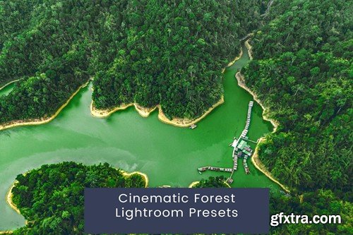 Cinematic Forest Lightroom Presets Y4BBJ57 Cinematic Forest Lightroom Presets Y4BBJ57