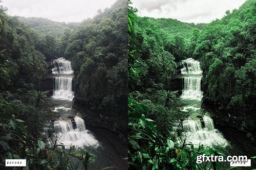 Cinematic Forest Lightroom Presets Y4BBJ57 Cinematic Forest Lightroom Presets Y4BBJ57