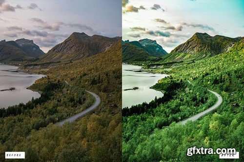 Cinematic Forest Lightroom Presets Y4BBJ57 Cinematic Forest Lightroom Presets Y4BBJ57