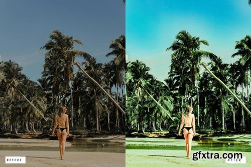 Cinematic Forest Lightroom Presets Y4BBJ57 Cinematic Forest Lightroom Presets Y4BBJ57