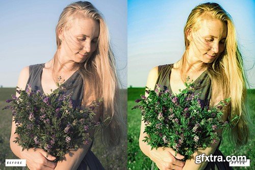 Cinematic Forest Lightroom Presets Y4BBJ57 Cinematic Forest Lightroom Presets Y4BBJ57