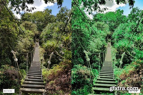 Cinematic Forest Lightroom Presets Y4BBJ57 Cinematic Forest Lightroom Presets Y4BBJ57