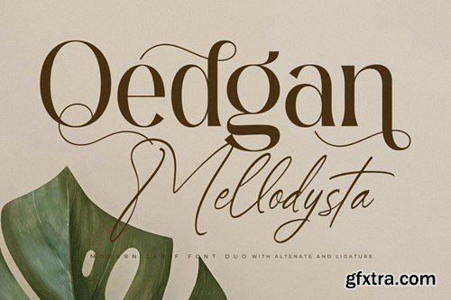 Qedgan Mellodysta Font Duo SUQ765C Qedgan Mellodysta Font Duo SUQ765C