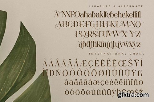 Qedgan Mellodysta Font Duo SUQ765C Qedgan Mellodysta Font Duo SUQ765C