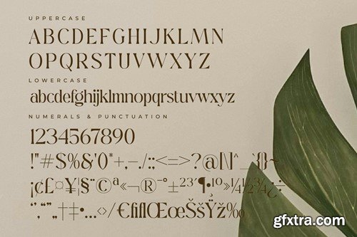 Qedgan Mellodysta Font Duo SUQ765C Qedgan Mellodysta Font Duo SUQ765C