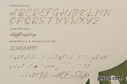 Qedgan Mellodysta Font Duo SUQ765C Qedgan Mellodysta Font Duo SUQ765C