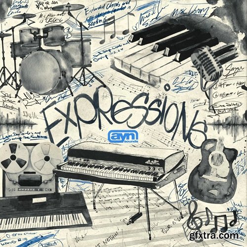 AYN Sounds Expressions Multi-Kit