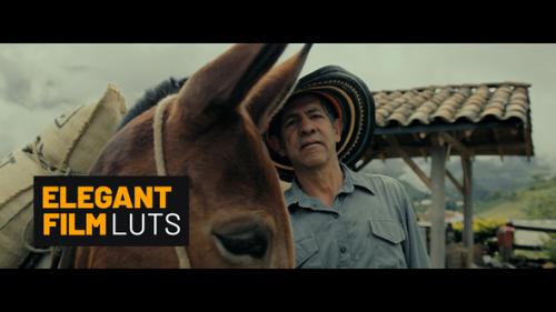 Elegant Film Color LUTs - 49487825