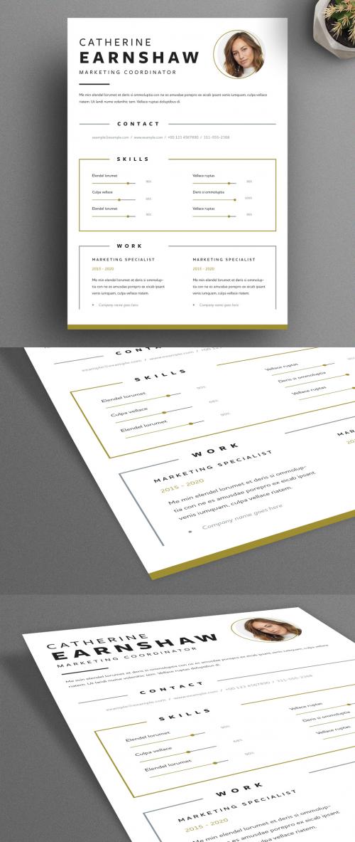 Resume Layout with Frame Elements and Gold Accents - 317118989