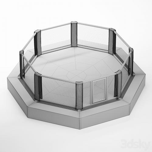 MMA arena octagon