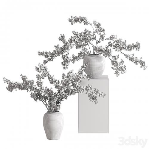 Vases with Branches White Cherry