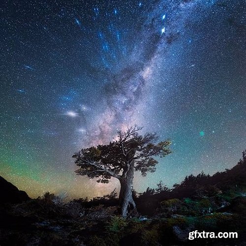 Daniel Kordan Photography - Patagonia Night Sky Panorama Baobab