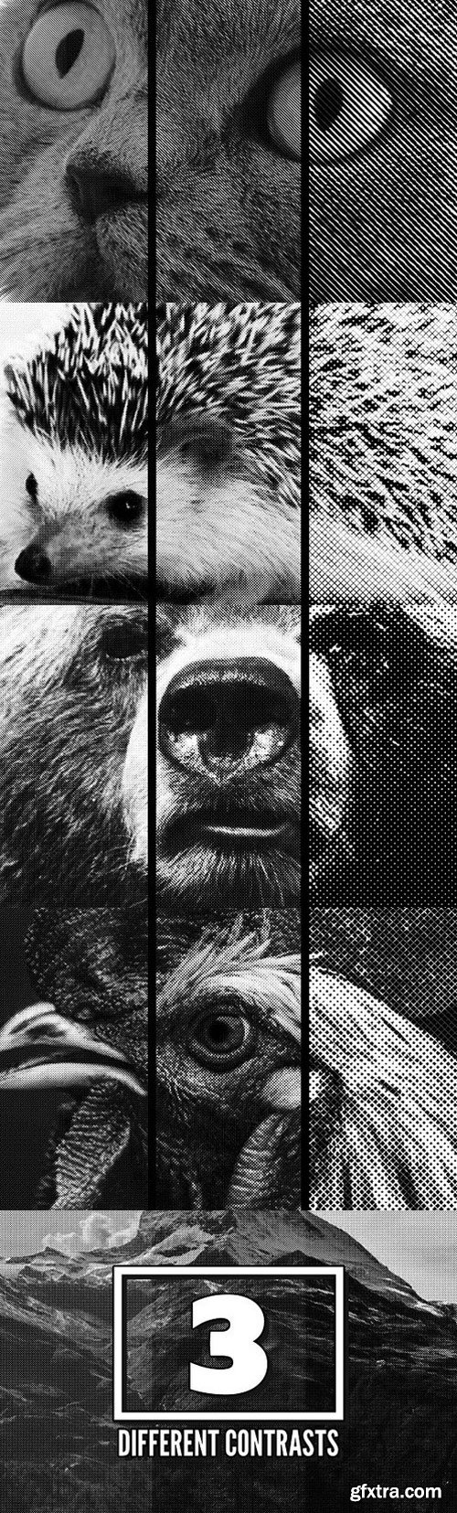 45 Halftone PSD Actions