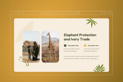 Erazoo - Animal Conservation PowerPoint Template Erazoo - Animal Conservation PowerPoint Template