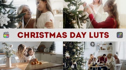 Christmas Day LUTs | FCPX & Apple Motion - 49604690