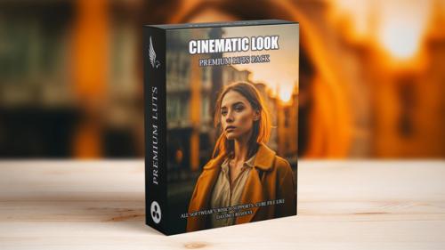 Hollywood Street Movie Landscape Cinematic LUTs - 49561981