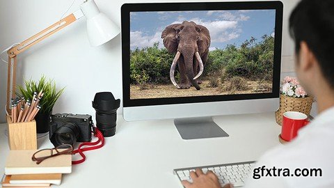Photoshop For Wildlife And Nature Photographers
