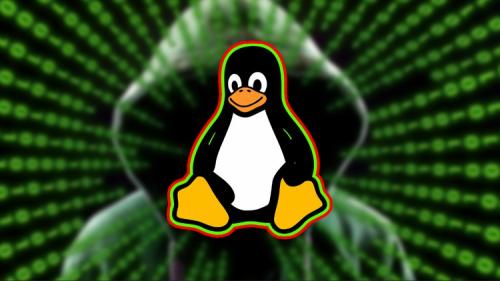 Udemy - Mastering Linux: The Complete Guide to Becoming a Linux Pro