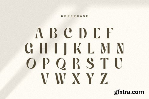 Glamour Lifestyle - Modern Classy Serif Font T3JKT3G