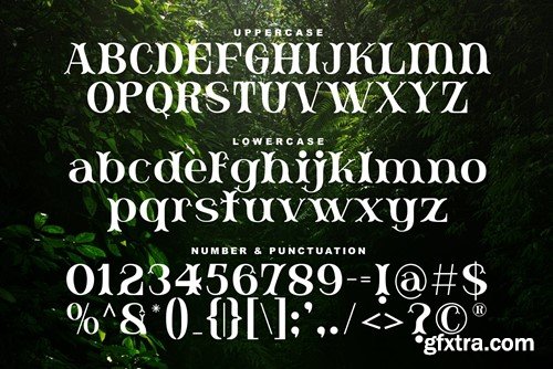Budaya - Classic Culture Font XRMDYWS