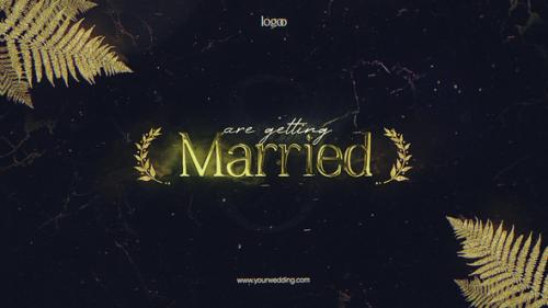 Wedding Invitation | MOGRT - 49695213