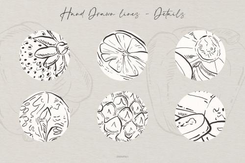 Deeezy - Hand Drawn Fruits and Veggies Vector Illustrations