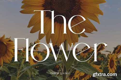 Hastera Modern Ligature Serif NY68FA3