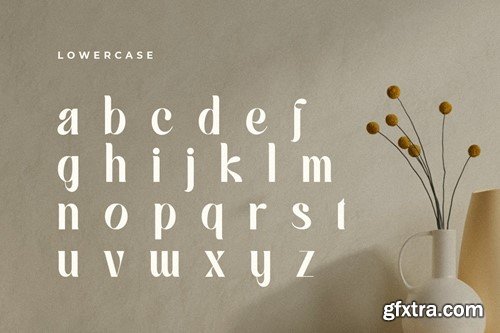 Glamour Lifestyle - Modern Classy Serif Font T3JKT3G