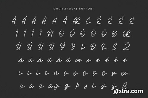 Wadgres - Brush Script Font X6QPMW8