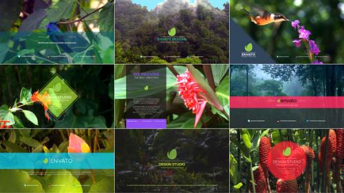 Logo Intro Pack Premiere Pro - 49783383