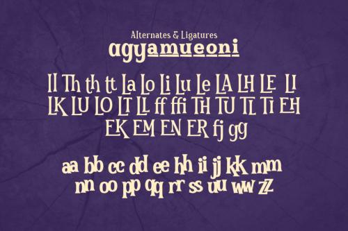 Deeezy - The Hoca – Display Serif Font