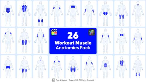 Workout Muscle Anatomies Pack For Final Cut Pro X - 49834424
