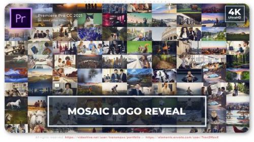 Mosaic Photo Logo Reveal - 49838787