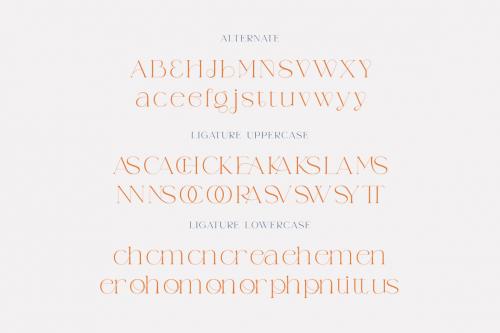 Deeezy - Weaser Modern Serif