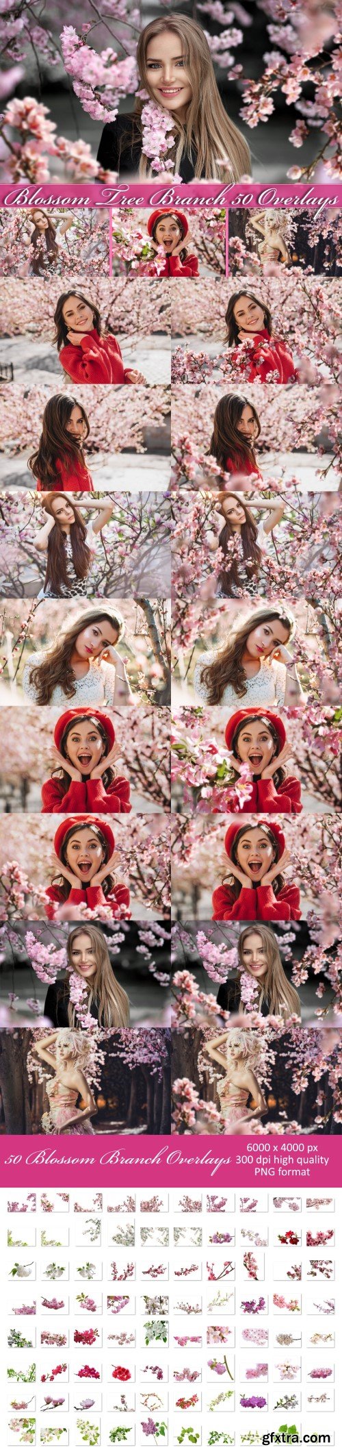 Blossom tree branch overlays, flowering trees, cherry, apple tree, blossom, overlay, Photoshop overlays