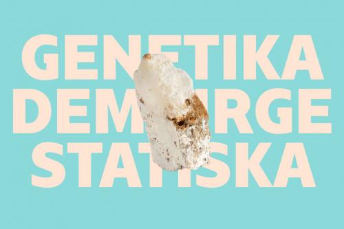 Deeezy - Gogat Modern Sans Serif Font