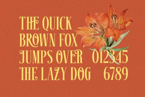 Deeezy - Gruesome - Display Serif Font Deeezy - Gruesome - Display Serif Font