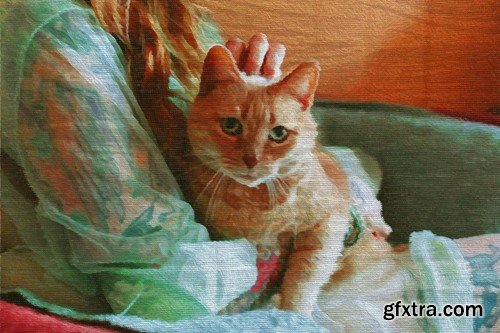 Oil Canvas Photo Effect 5M53FSL Oil Canvas Photo Effect 5M53FSL