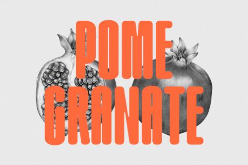 Deeezy - Omnys Sans Display Font