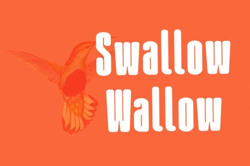 Deeezy - Omnys Sans Display Font