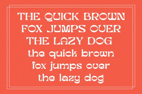 Deeezy - Bird King Retro Serif