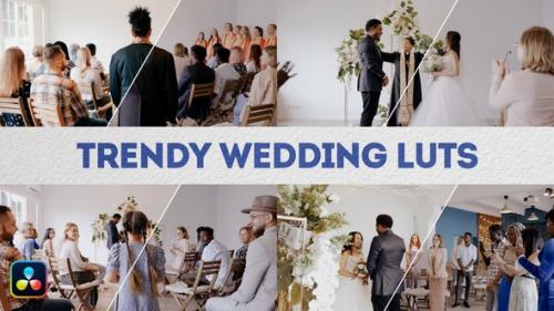 Trendy Wedding LUTs | DaVinci Resolve - 49834847
