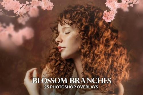 25 Painted blossom branches photo overlays 25 Painted blossom branches photo overlays