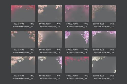 25 Painted blossom branches photo overlays 25 Painted blossom branches photo overlays