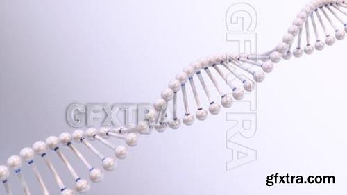 Rotating DNA Chain 1447591