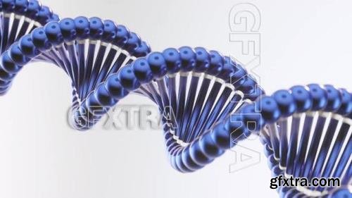 Rotating DNA 1633327