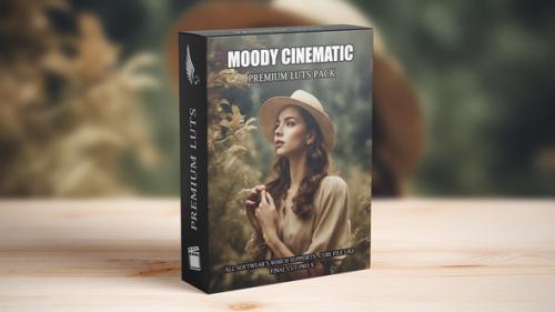Street Cinematic Moody Videography LUTs Pack - 49940533