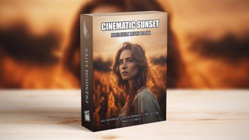 Sun Set Bright Cinematic Hollywood Film LUTs - 49942990